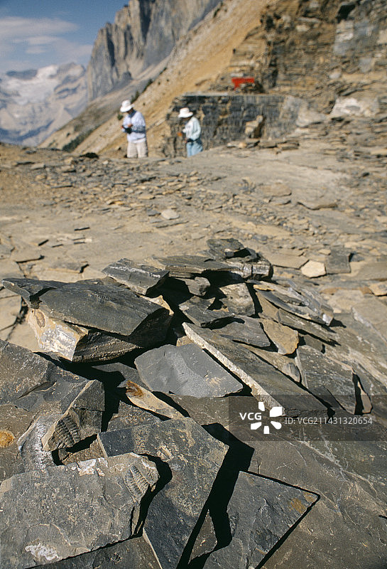 伯吉斯页岩化石采石场图片素材