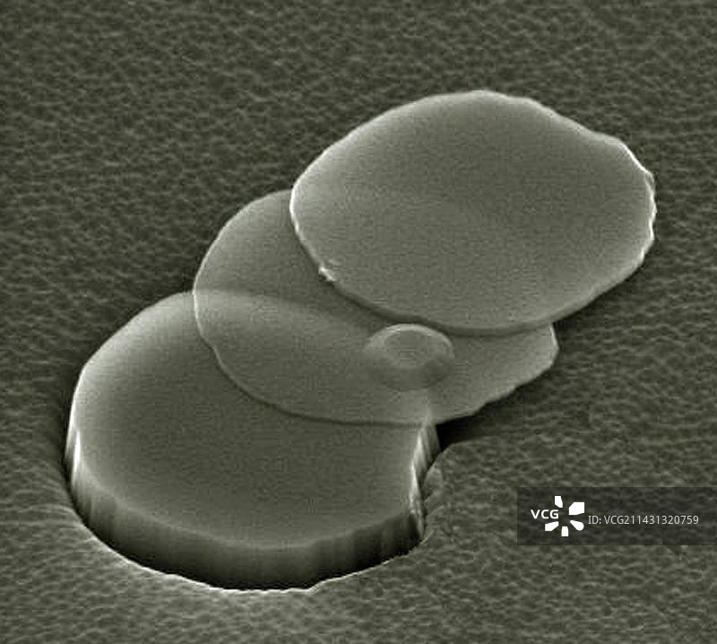 石墨薄片扫描电镜图图片素材