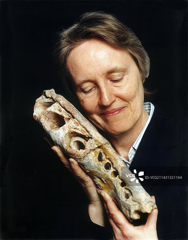 英国古生物学家安吉拉·米尔纳图片素材