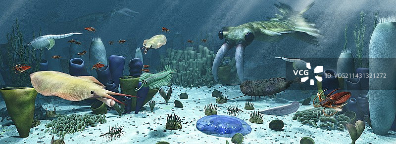 寒武纪海洋生物插画图片素材