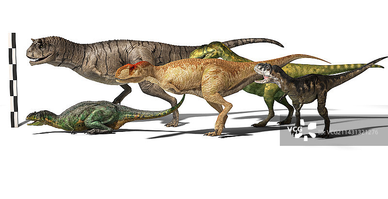 阿贝力龙恐龙群插图图片素材