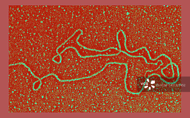 DNA链端粒透射电镜图图片素材