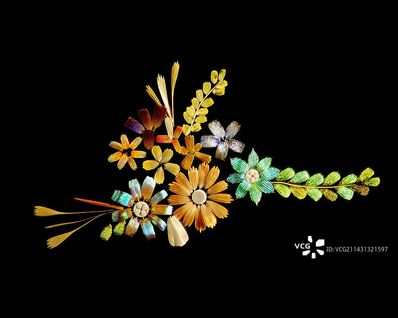 蝴蝶鳞片组成的花朵图片素材