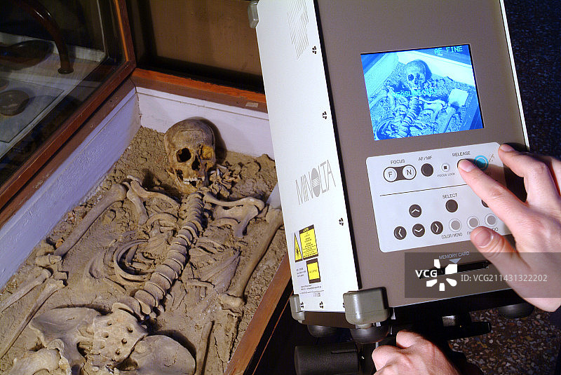 考古研究，骨骼扫描图片素材