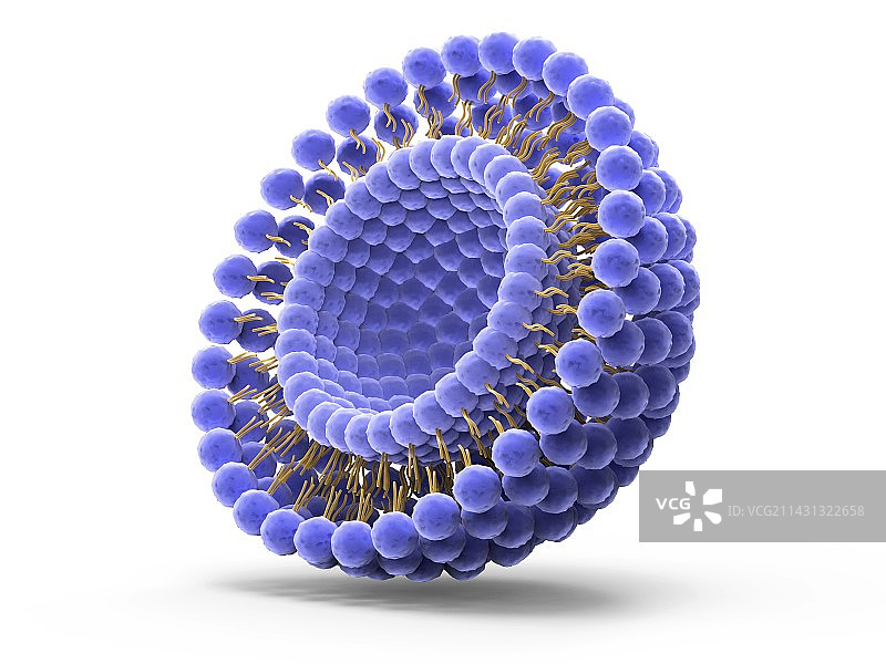 药物传递脂质体图片素材