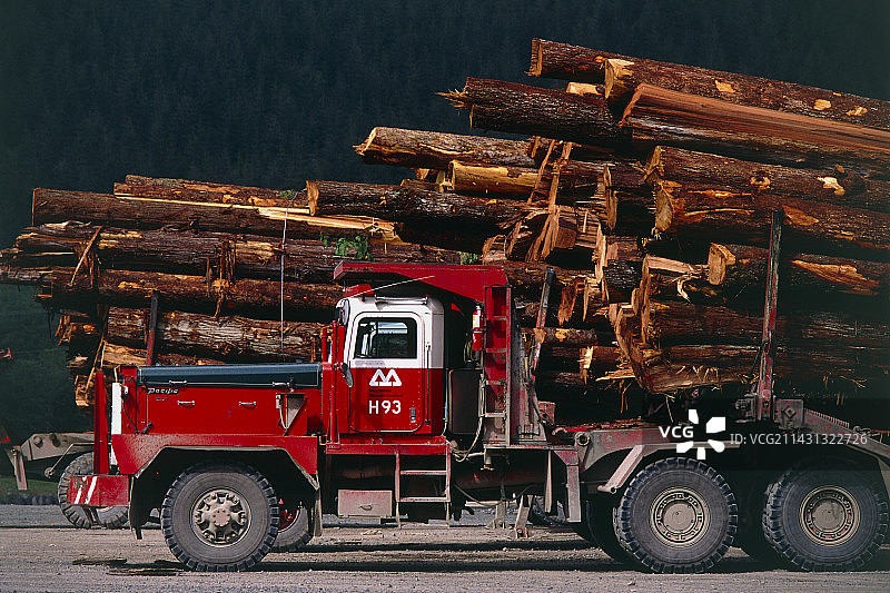 装满原木的伐木卡车图片素材