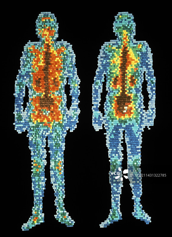 健康男性的闪烁图，正面和背面视图图片素材