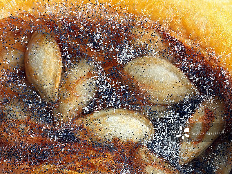 发霉的南瓜图片素材