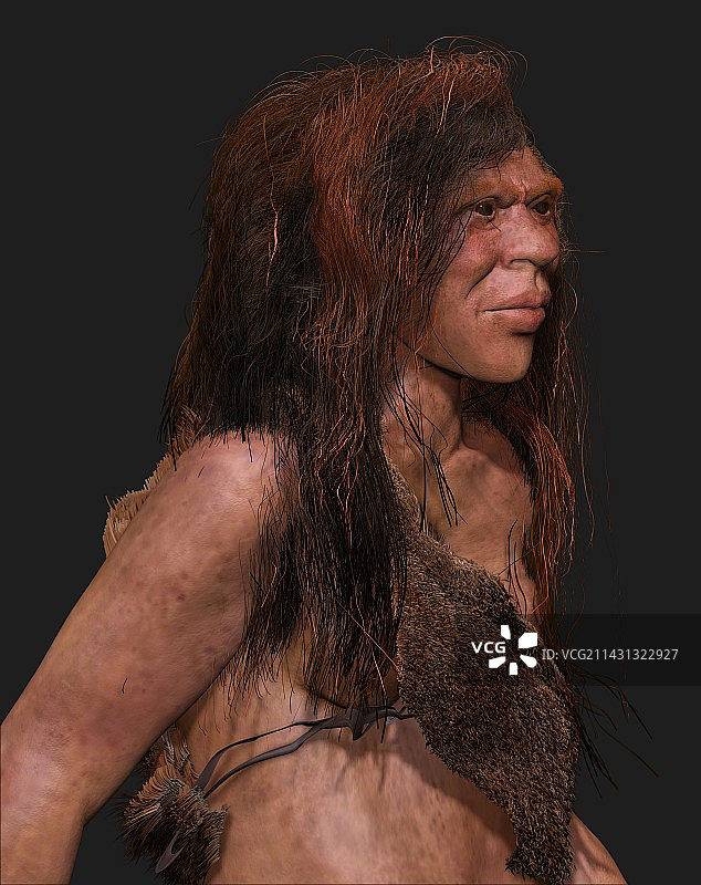 古代人类混血，插图图片素材