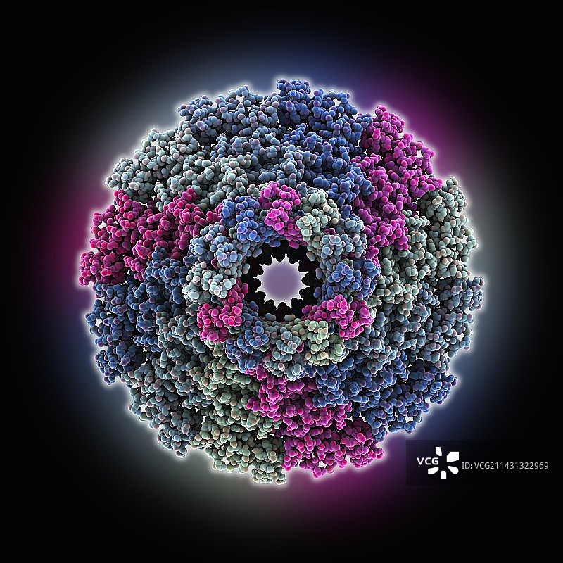 T7噬菌体衣壳分子模型图片素材