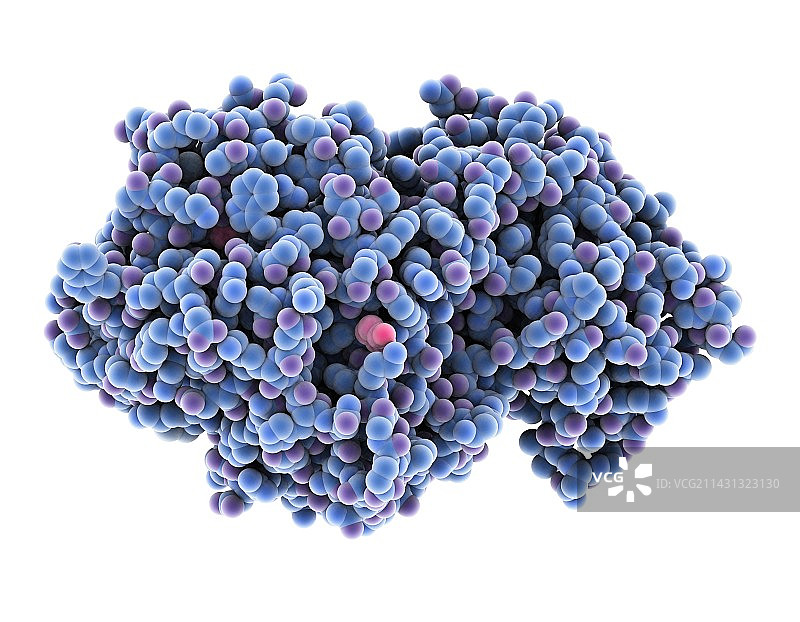 淀粉酶分子模型图片素材