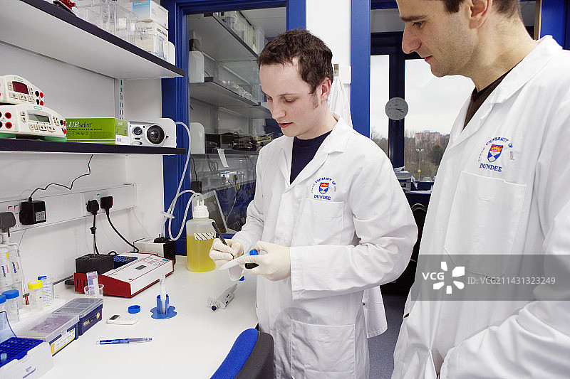 DNA扩增图片素材