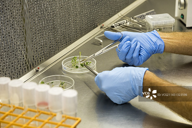 美国国家遗传资源保护实验室图片素材