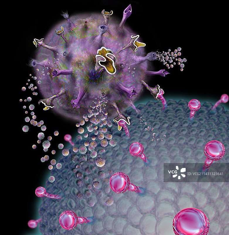 自然杀伤细胞攻击癌细胞，图示图片素材