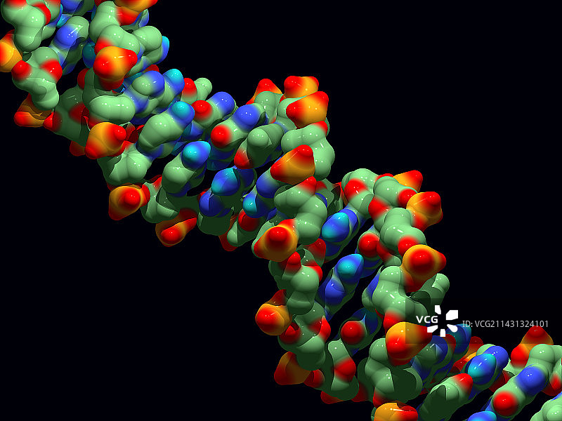 DNA分子图片素材