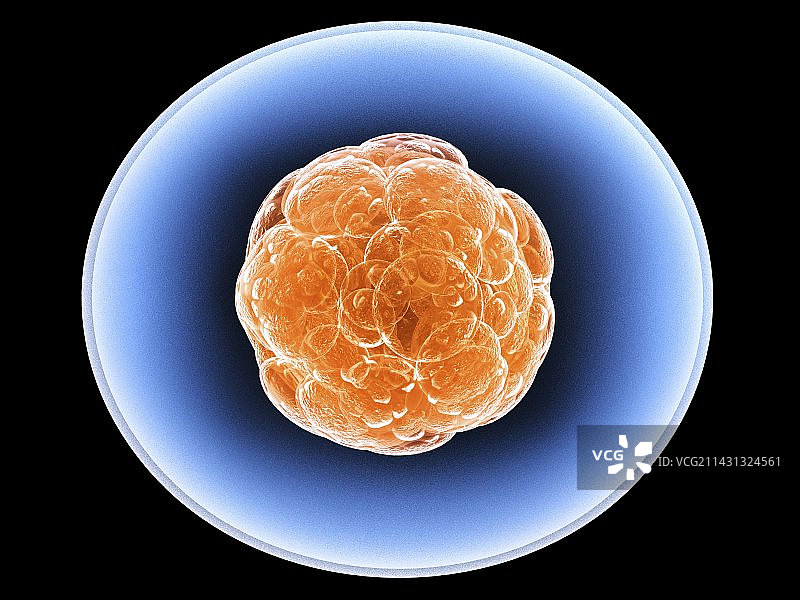 干细胞艺术作品图片素材