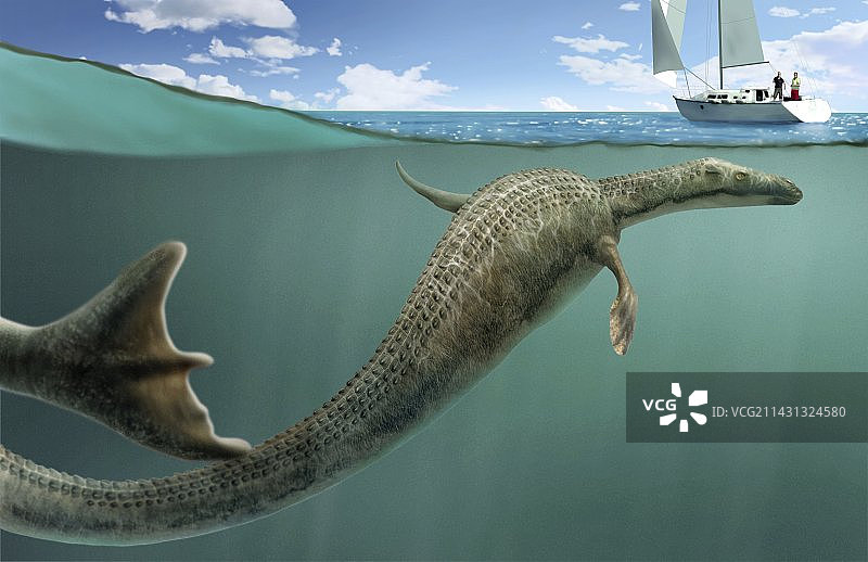 海蛇，卡布罗龙图片素材