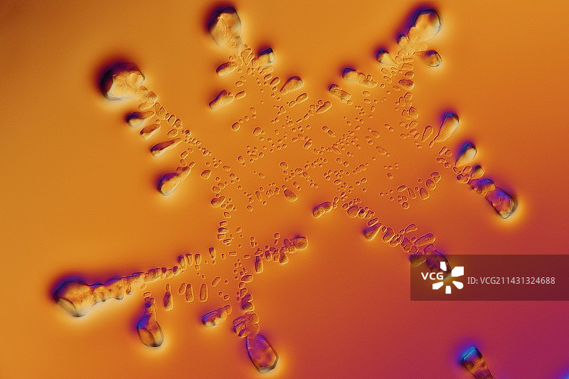 胰岛素晶体，光学显微镜照片图片素材