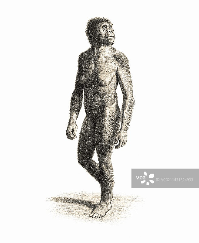 能人女性图片素材