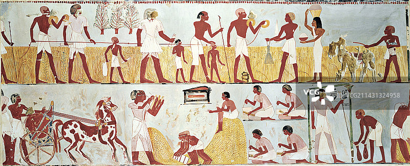 埃及陵墓场景插画图片素材