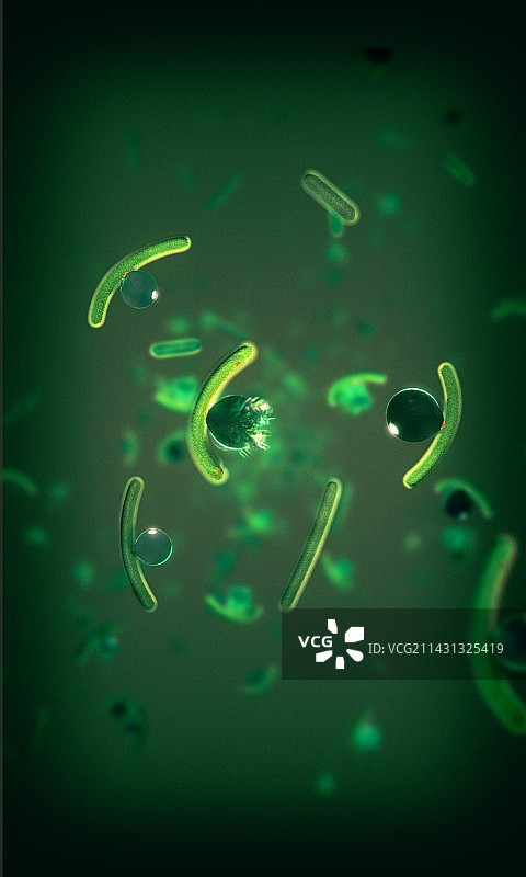 抗生素杀死细菌图片素材