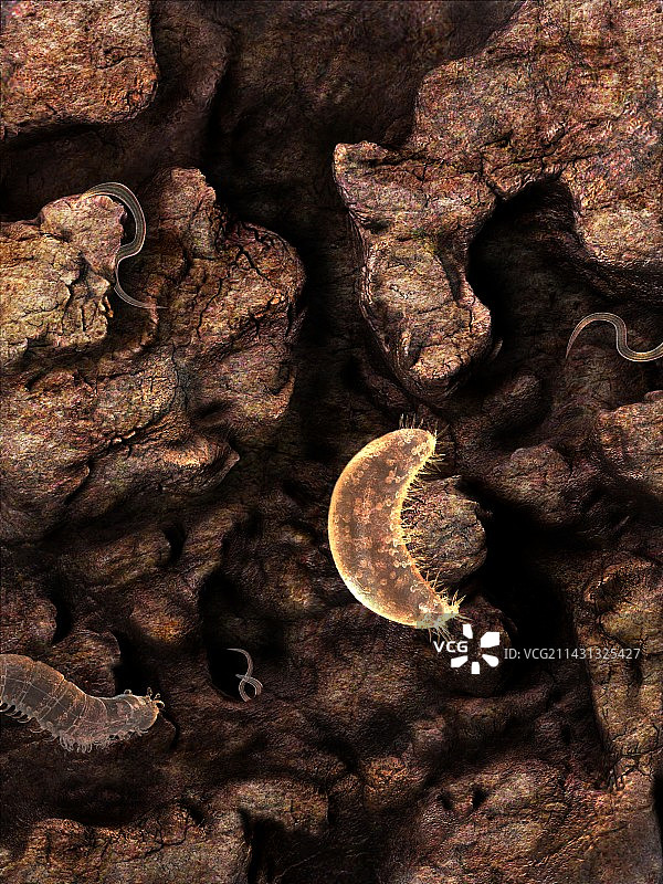 火星上的极端微生物，图示图片素材