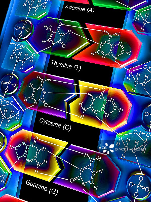 DNA分子图片素材