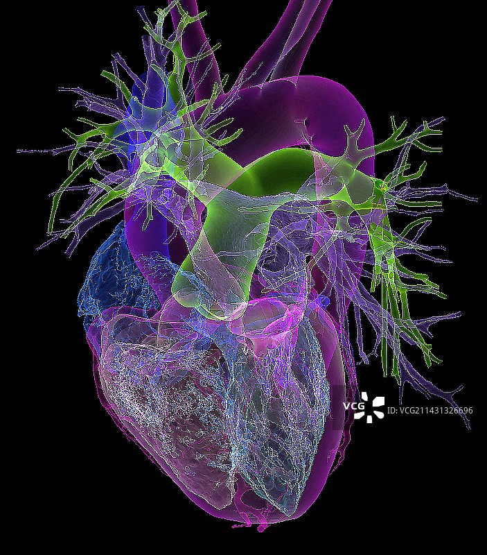 健康的心脏3D CT扫描图片素材