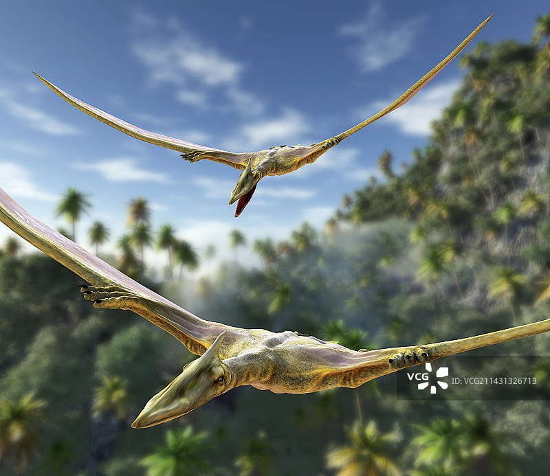 飞翔的翼龙电脑艺术作品图片素材
