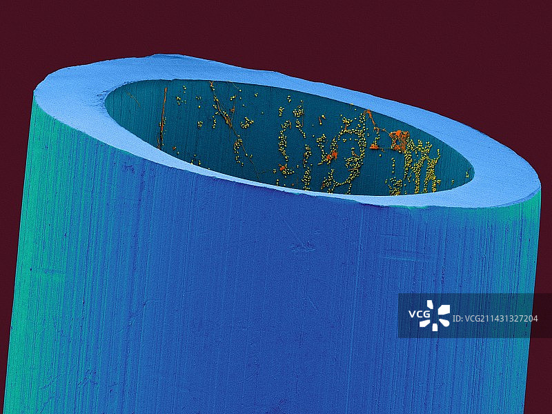 受污染的医用导管扫描电镜图图片素材