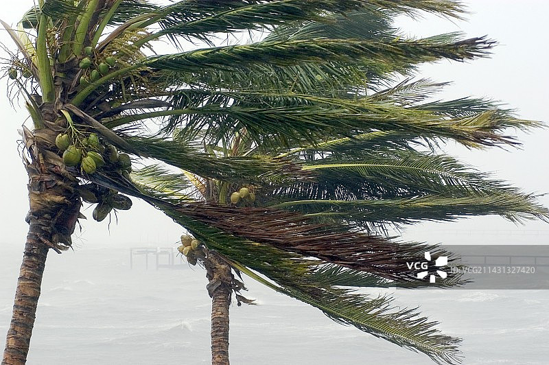 弗朗西斯飓风图片素材