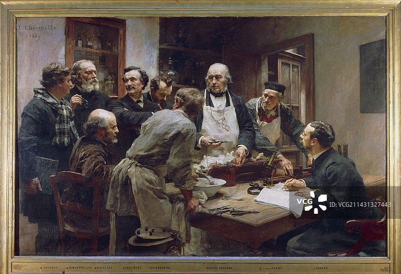 克劳德·贝尔纳在他的实验室里图片素材