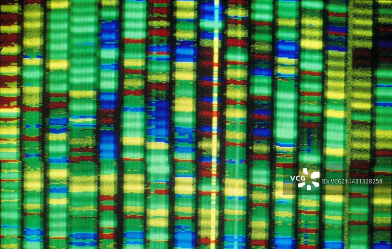 人类基因组研究：计算机DNA测序图片素材