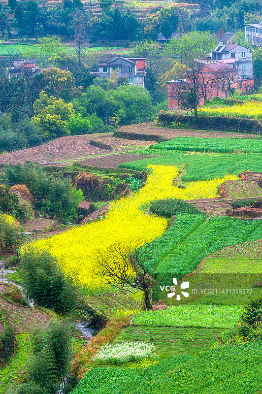山村之春（浙江台州临海）图片素材