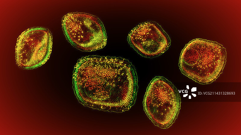 猴痘病毒颗粒图图片素材