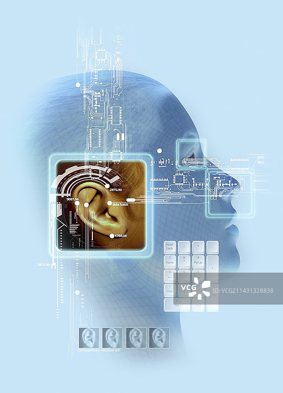 耳朵生物识别艺术图片素材