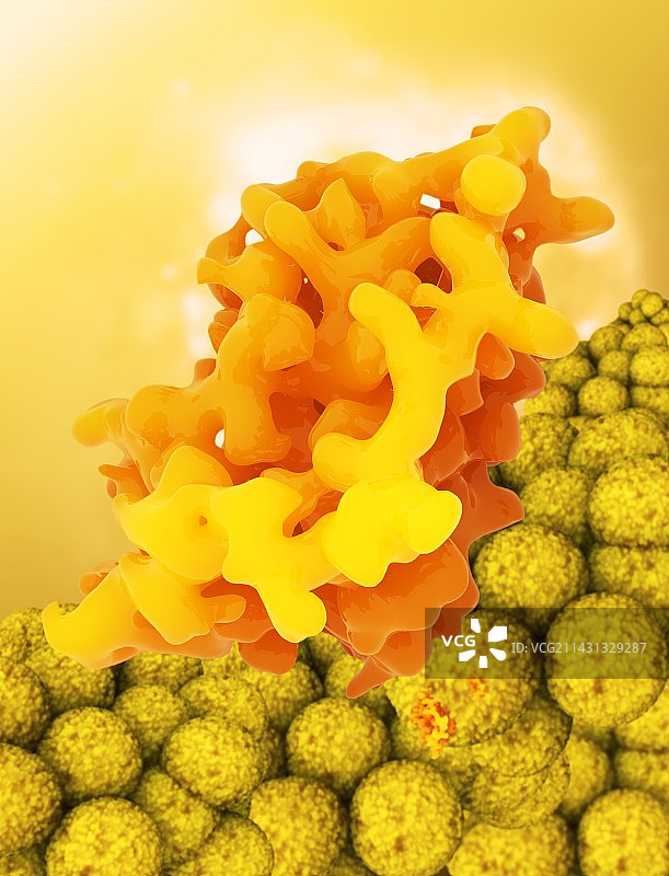 瘦素分子图片素材