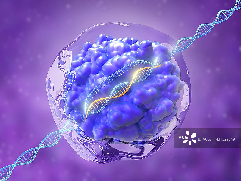 CRISPR-Cas9基因编辑复合体插图图片素材