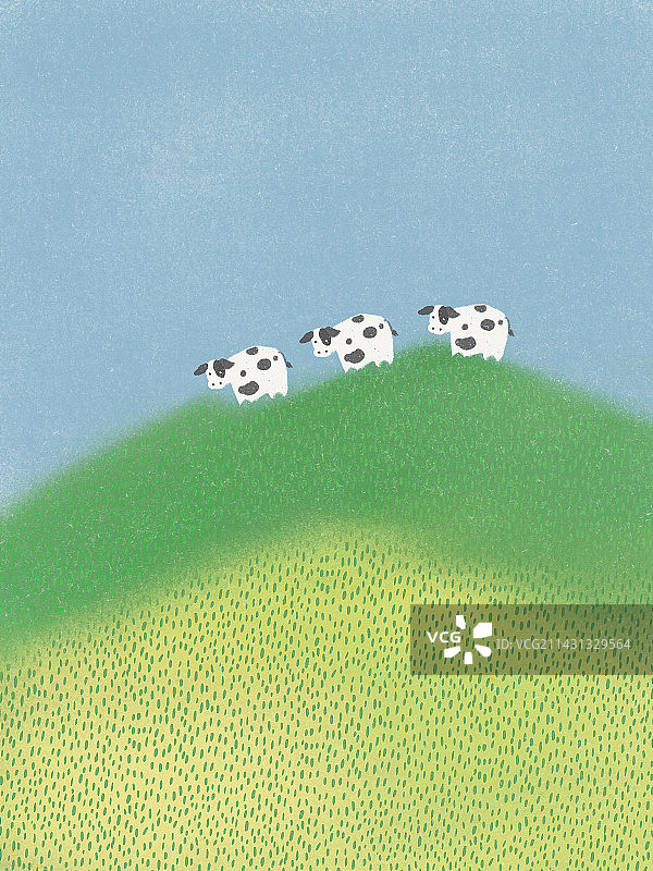 三只小奶牛在山上图片素材