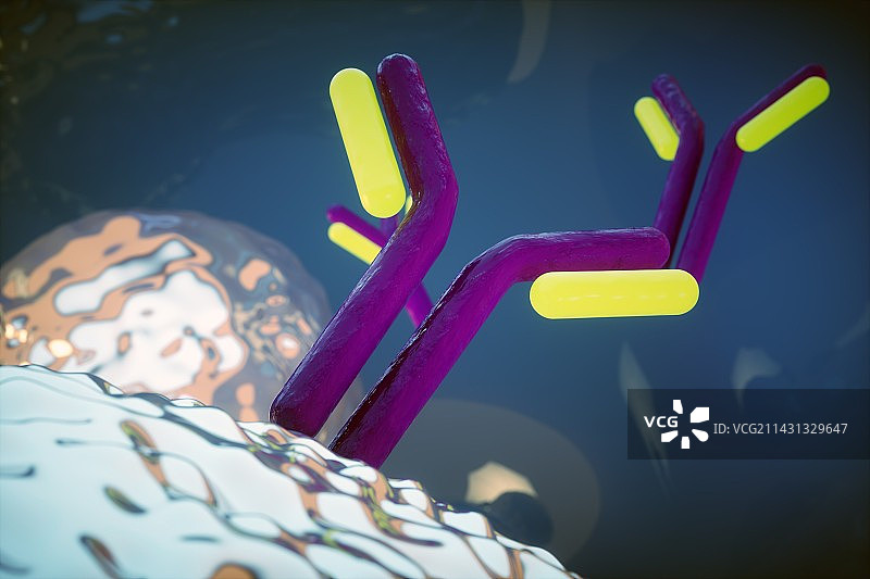 抗体，图示图片素材