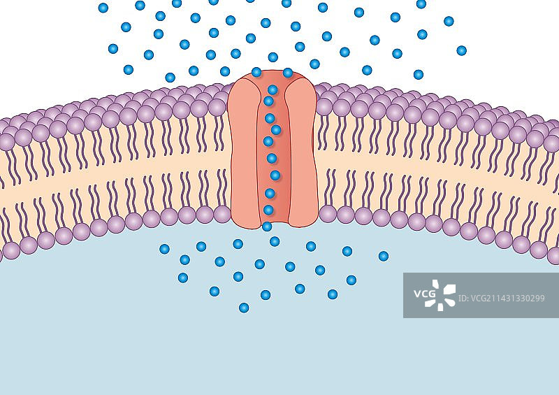 被动运输艺术作品图片素材