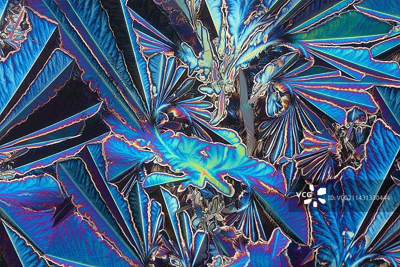 维生素B3（烟酰胺），偏振光显微照片图片素材