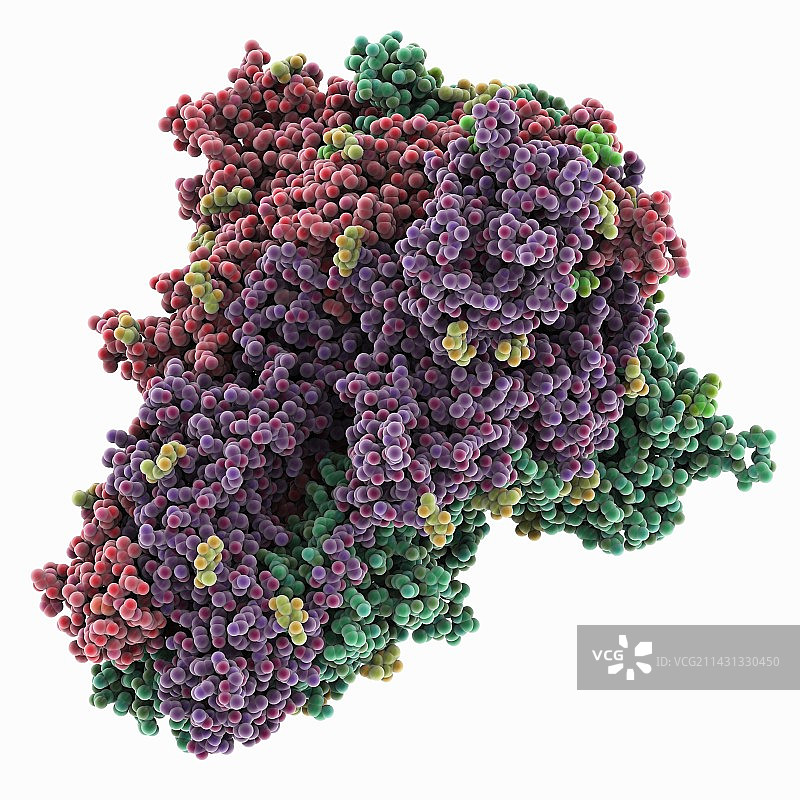 蝙蝠冠状病毒刺突蛋白分子模型图片素材