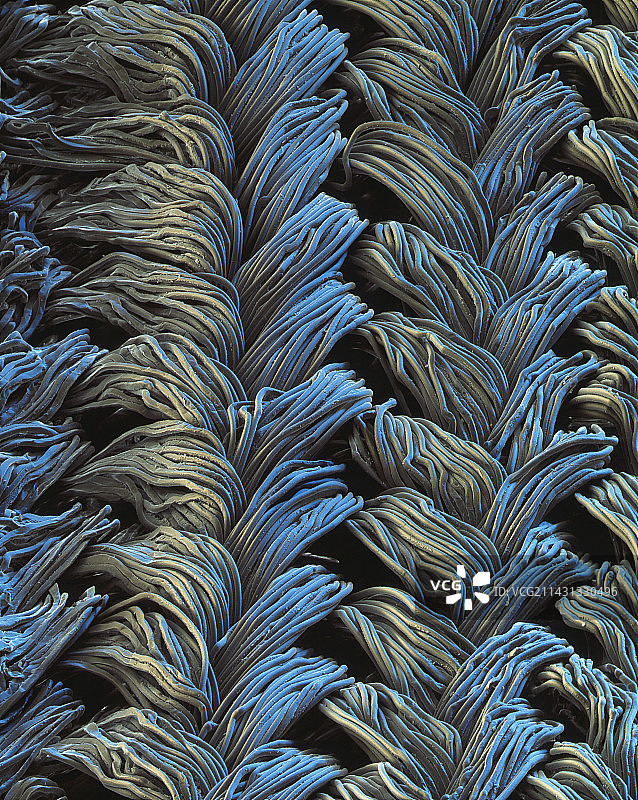 泳装材料SEM图片素材