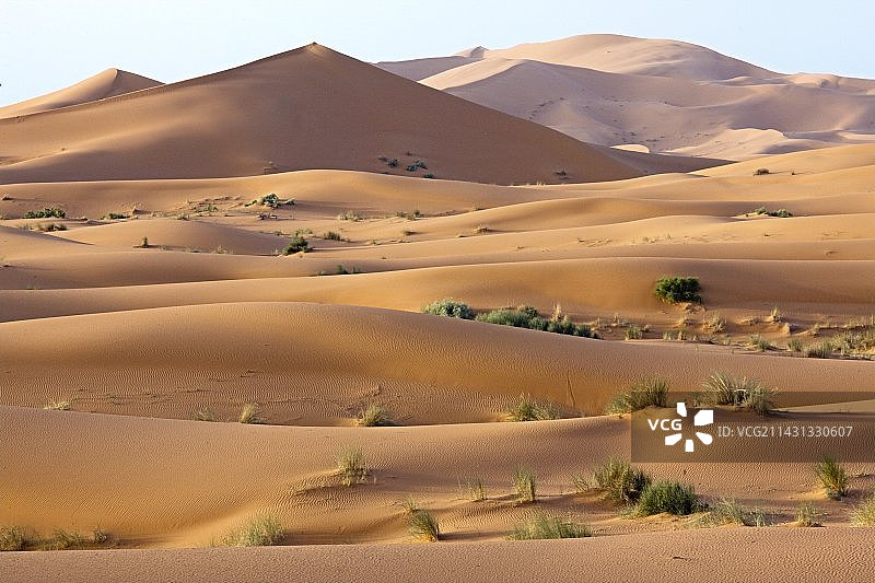 撒哈拉沙漠沙丘图片素材