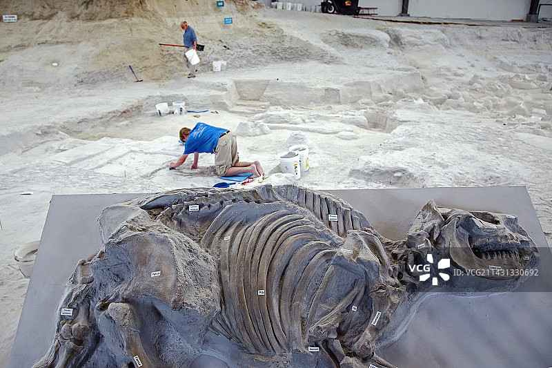 化石床展示图片素材