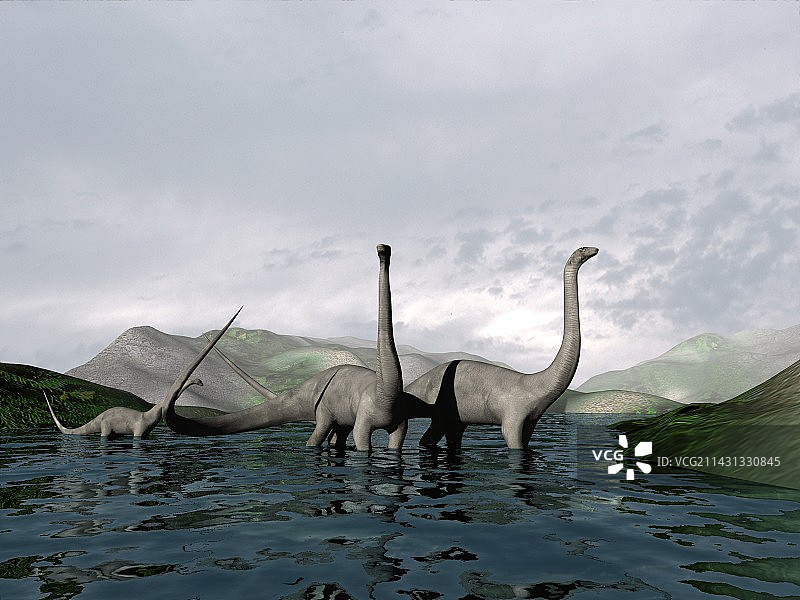 蜥脚类恐龙图片素材