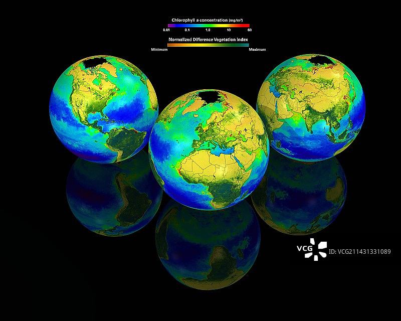 全球叶绿素分布图片素材