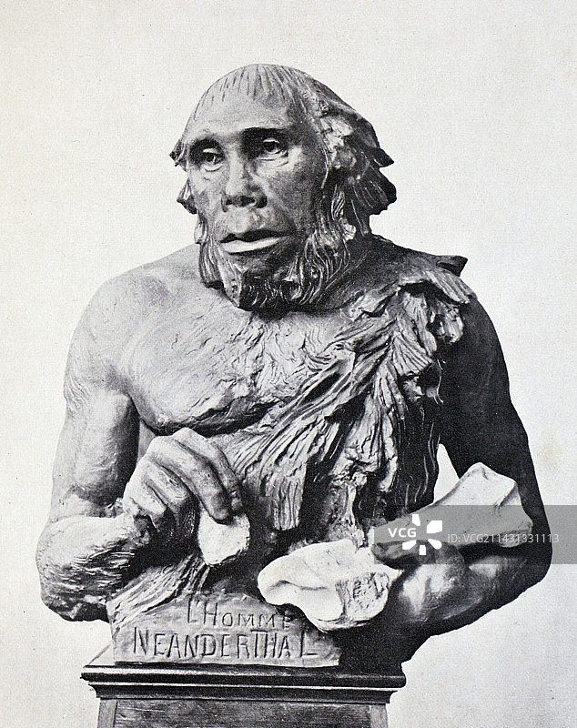 1916年首个3D尼安德特人重建图片素材