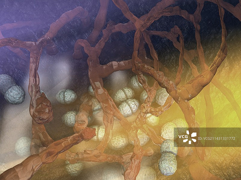 肠球菌艺术图图片素材